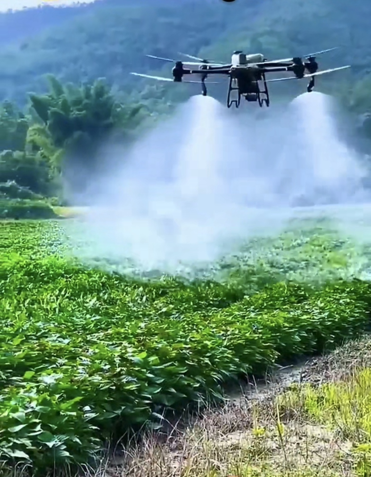 Xidmətlər və biznes