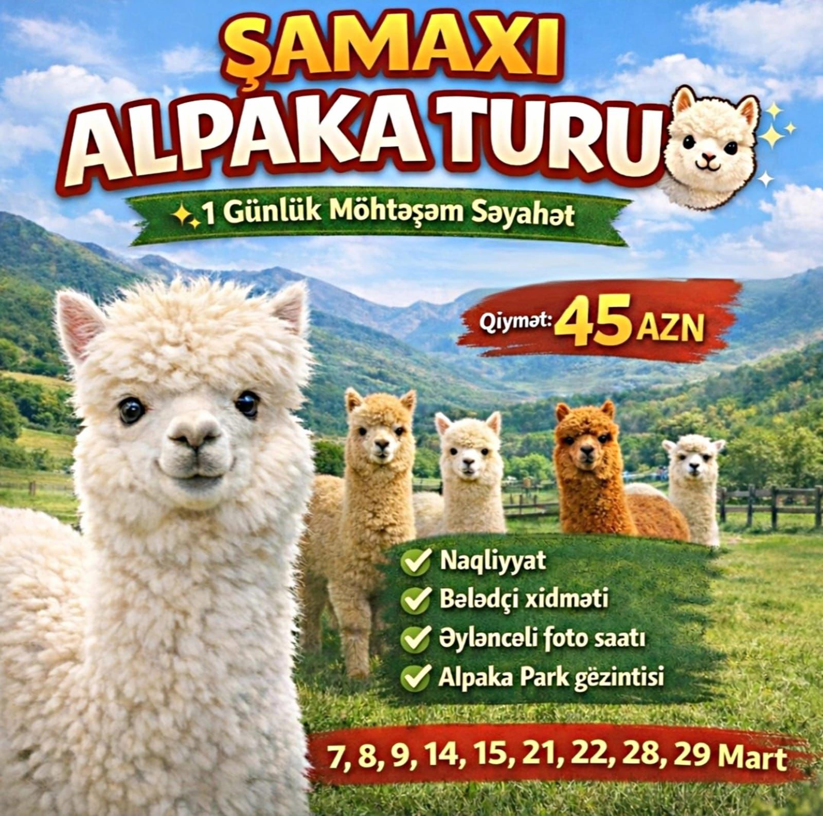 Hobbi, idman və asudə